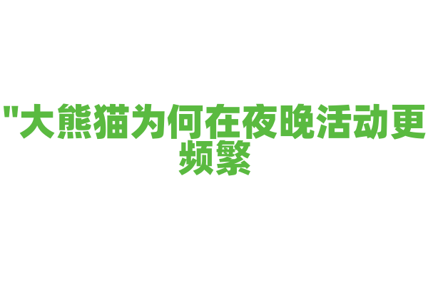 "大熊猫为何在夜晚活动更频繁？"